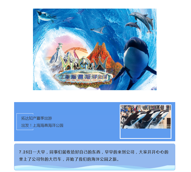 拓达知产夏季出游  出发！上海海昌海洋公园(图1)