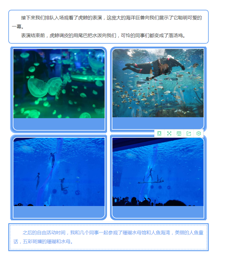拓达知产夏季出游  出发！上海海昌海洋公园(图6)